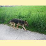 Klicken zum Vergr��ern